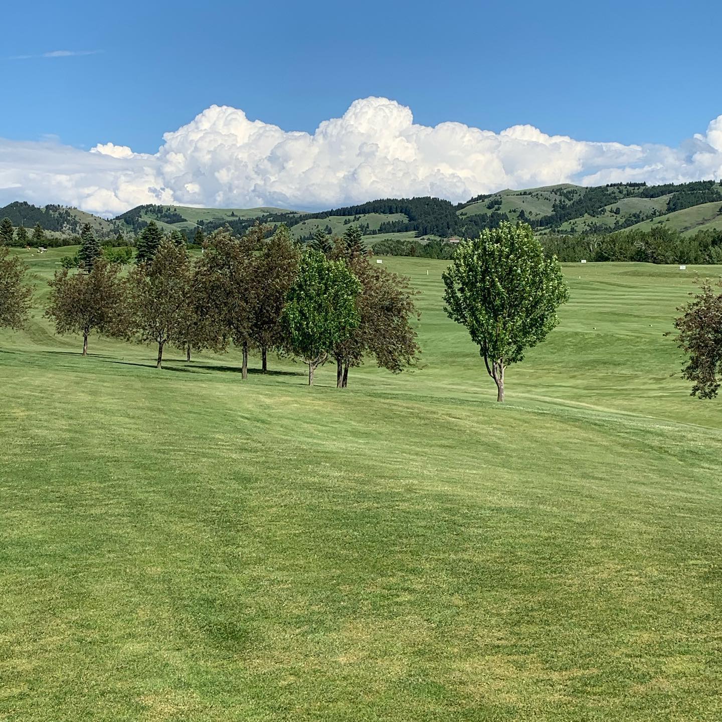 Montana Golf Courses MSGA Tournaments